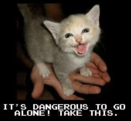 It's Dangerous to Go Alone! Take this kitten.